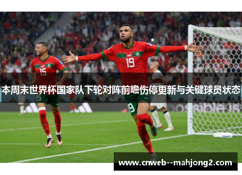 本周末世界杯国家队下轮对阵前瞻伤停更新与关键球员状态